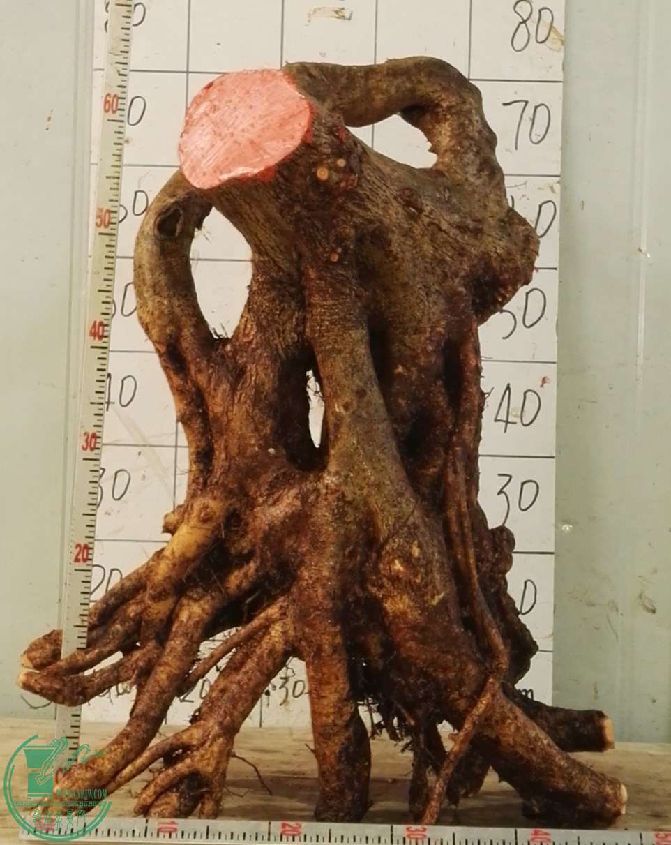 1Э