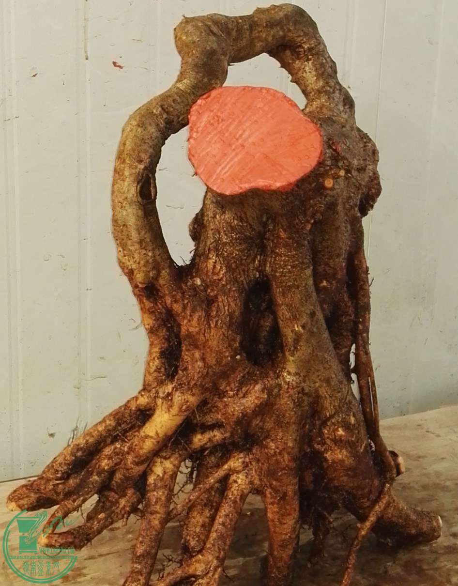 1Э