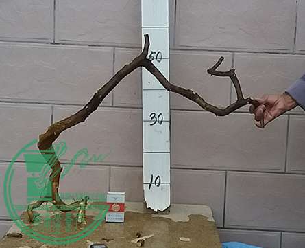 20161225_174152_mh1482662799649.jpg