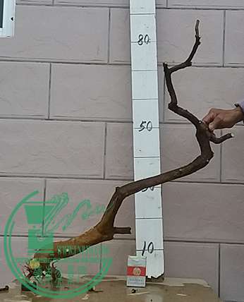 20161225_174413_mh1482662851208.jpg