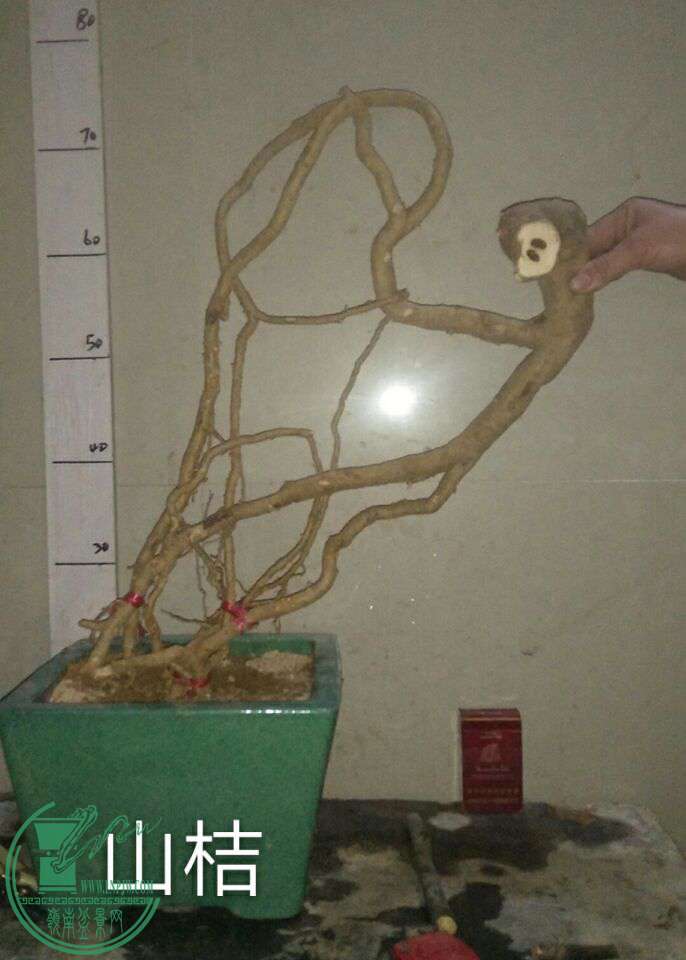 QQͼƬ20161225221121.jpg
