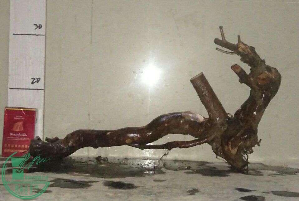 QQͼƬ20161225221234.jpg