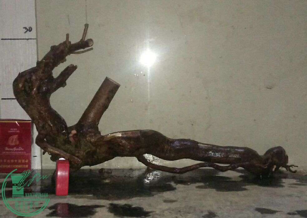 QQͼƬ20161225221229.jpg