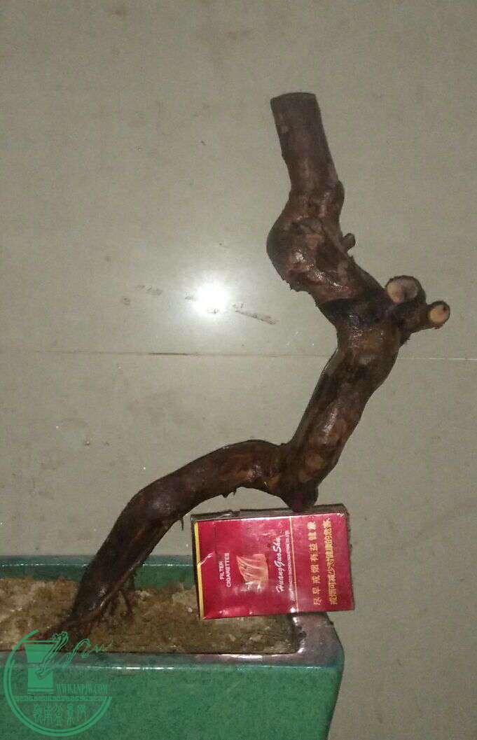 QQͼƬ20161225221125.jpg