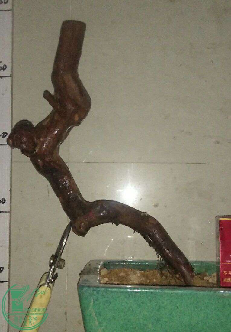 QQͼƬ20161225221115.jpg