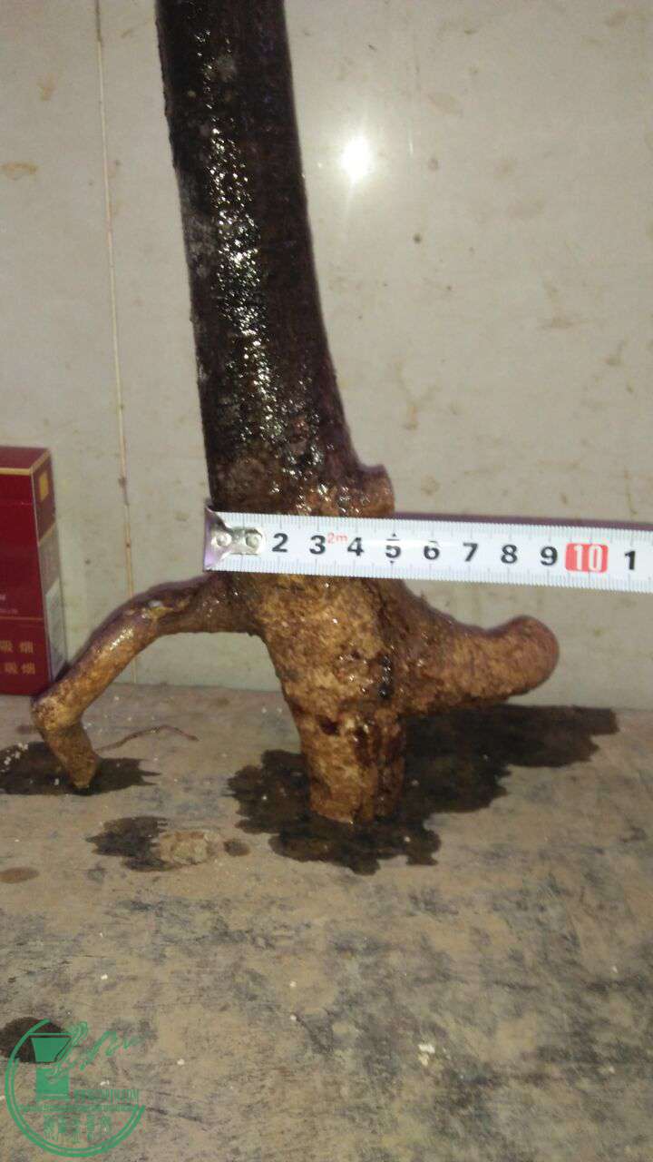 QQͼƬ20161226184143.jpg