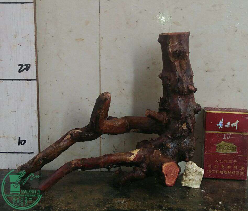 QQͼƬ20161226183934.jpg