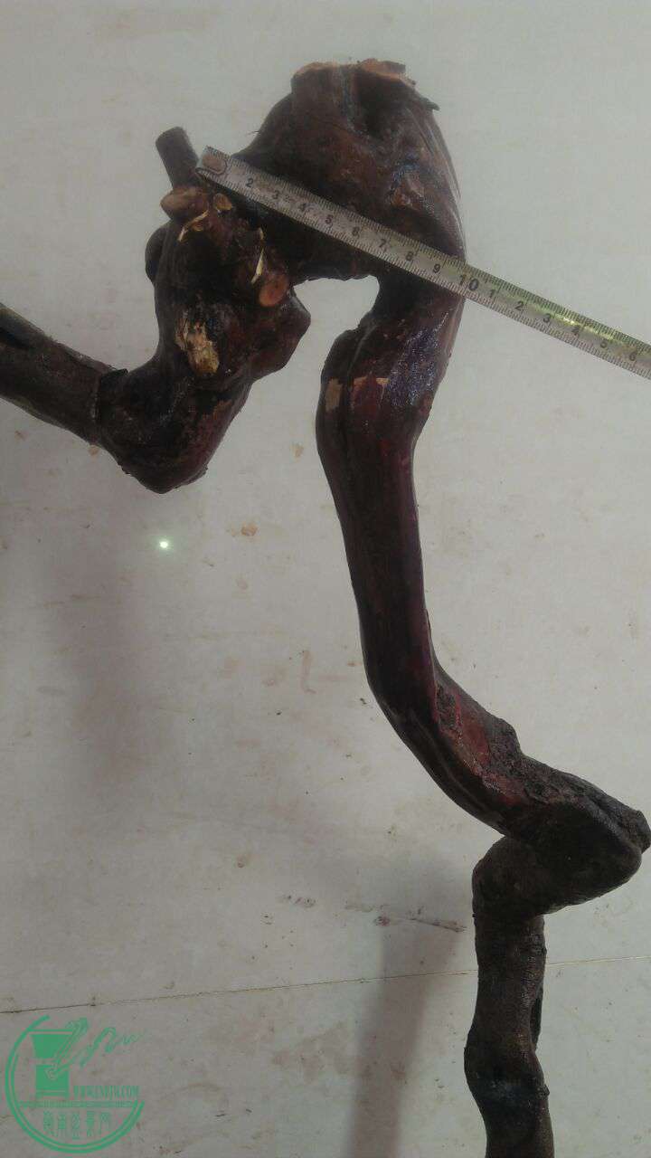 QQͼƬ20161226184015.jpg