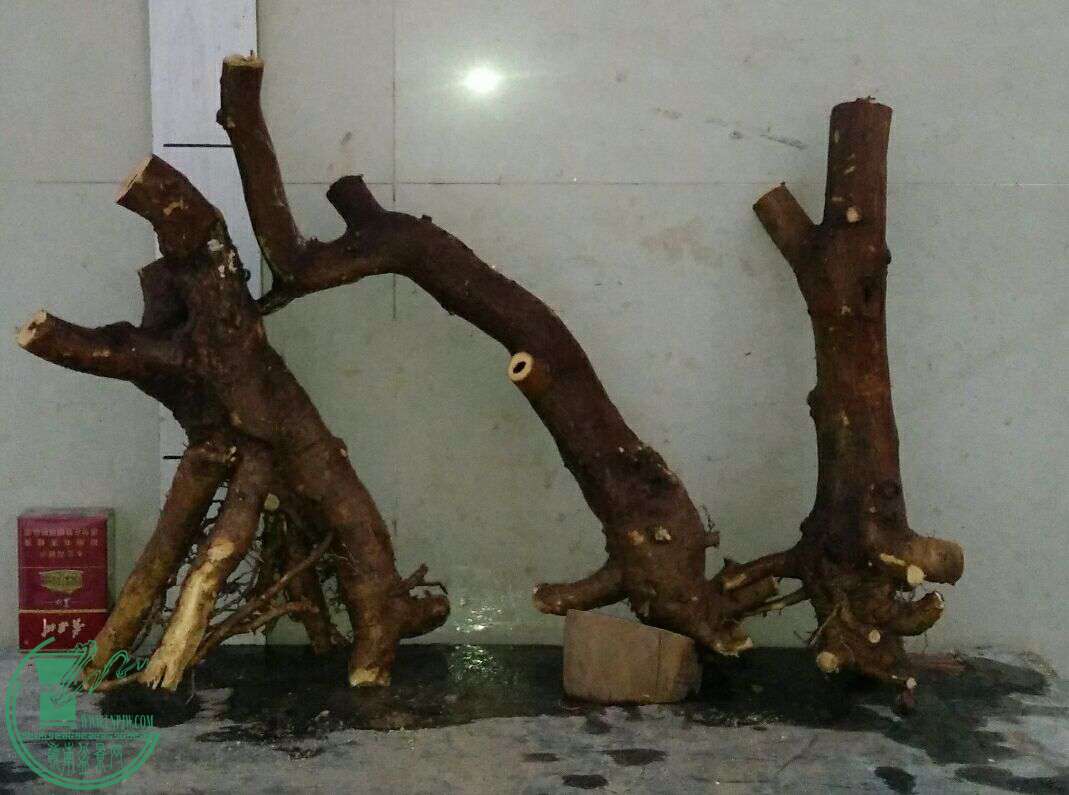 QQͼƬ20161226184035.jpg
