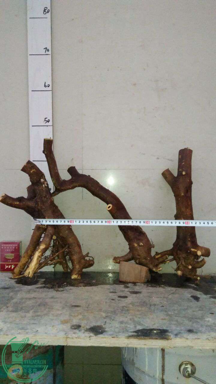QQͼƬ20161226184133.jpg