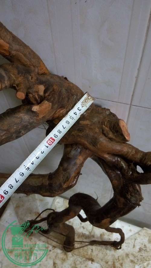 P61227-171356_.jpg