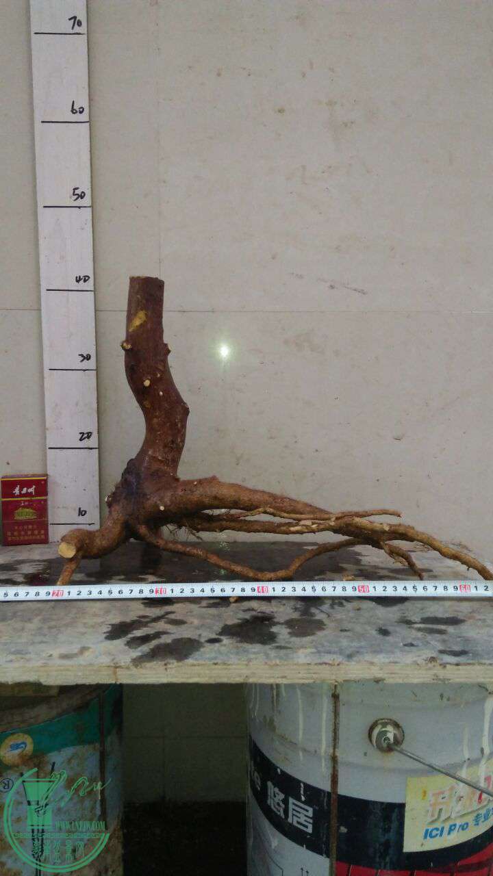 QQͼƬ20161227191325.jpg