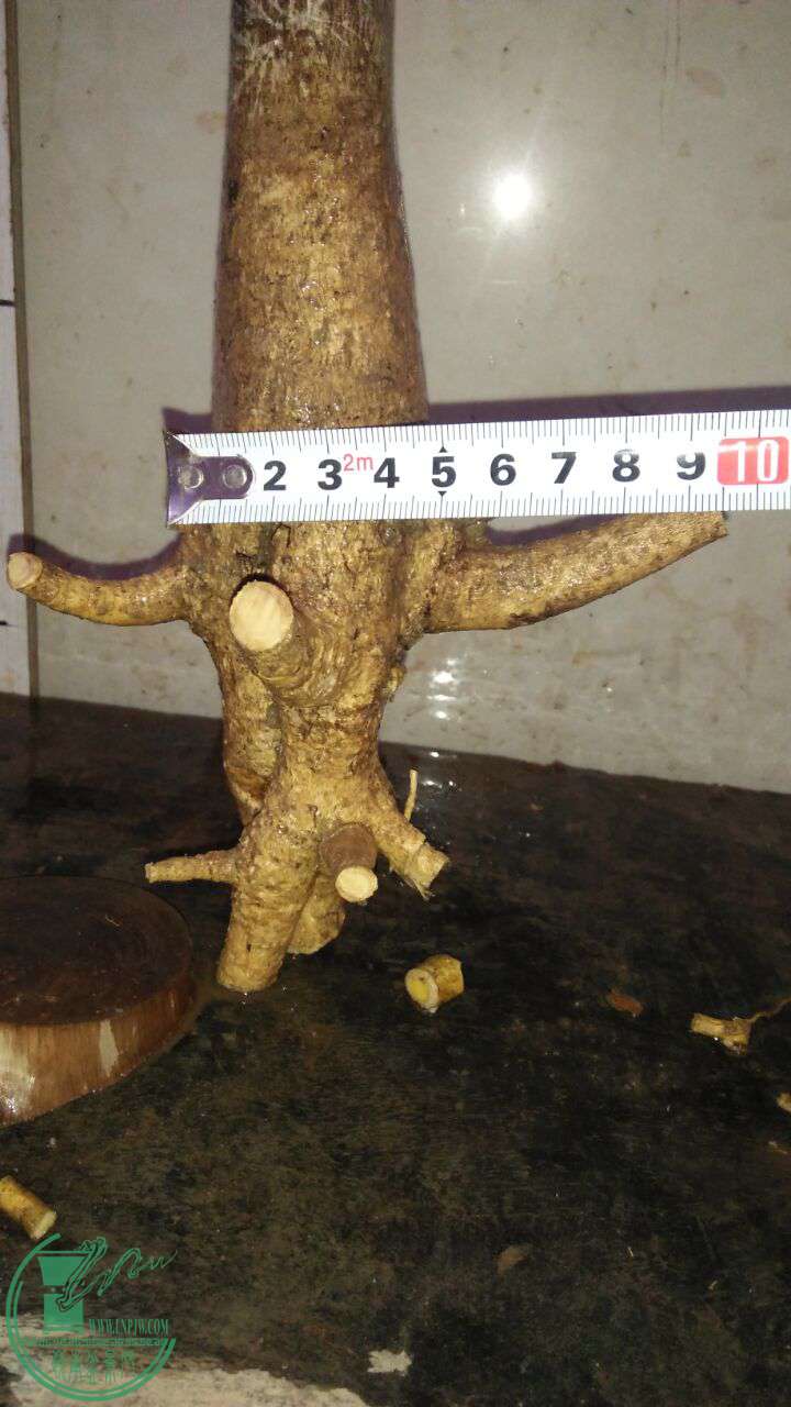 QQͼƬ20161227191207.jpg
