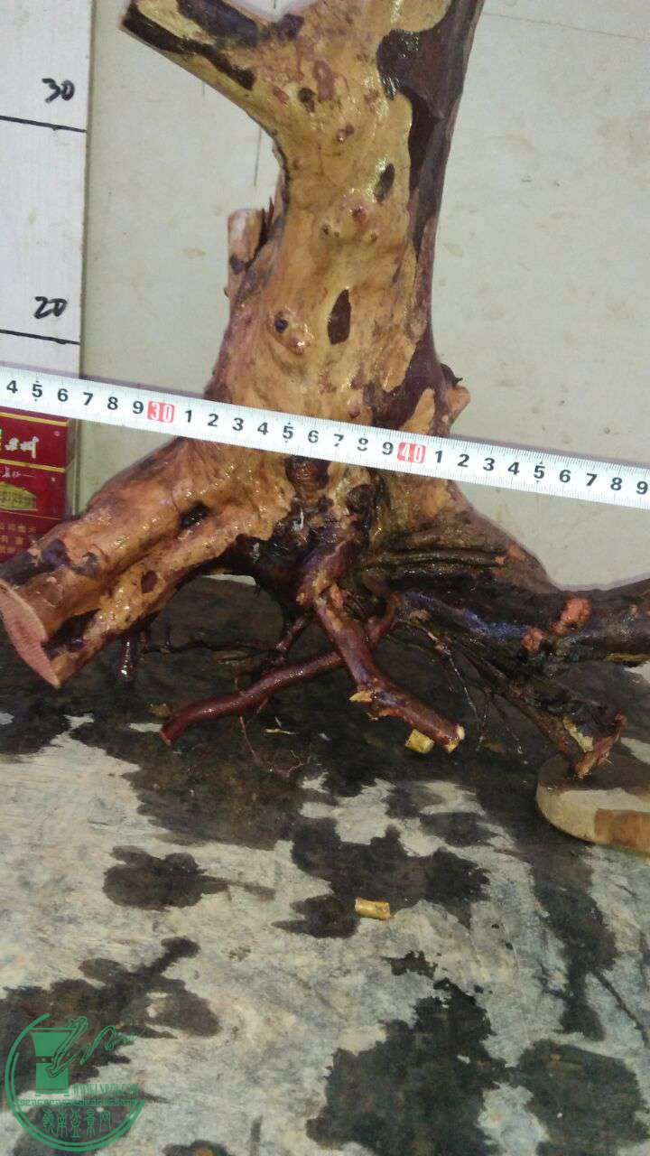QQͼƬ20161227191225.jpg