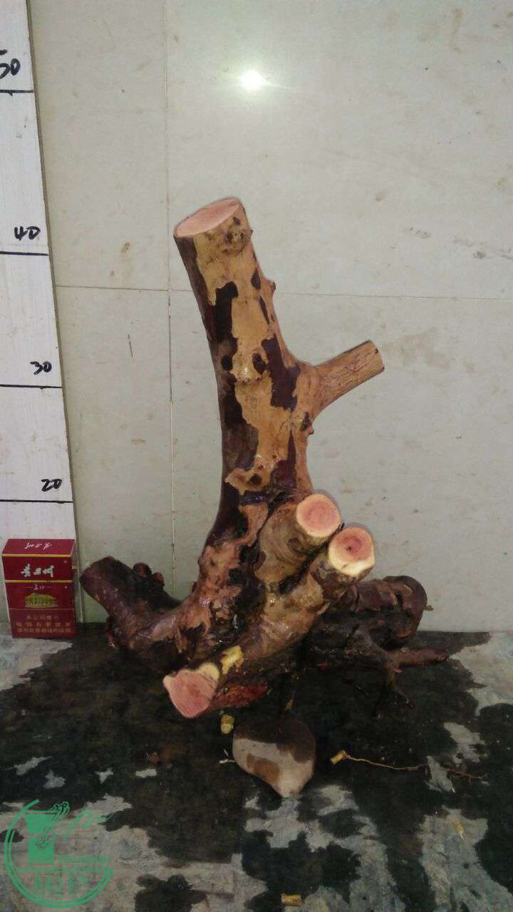QQͼƬ20161227191231.jpg
