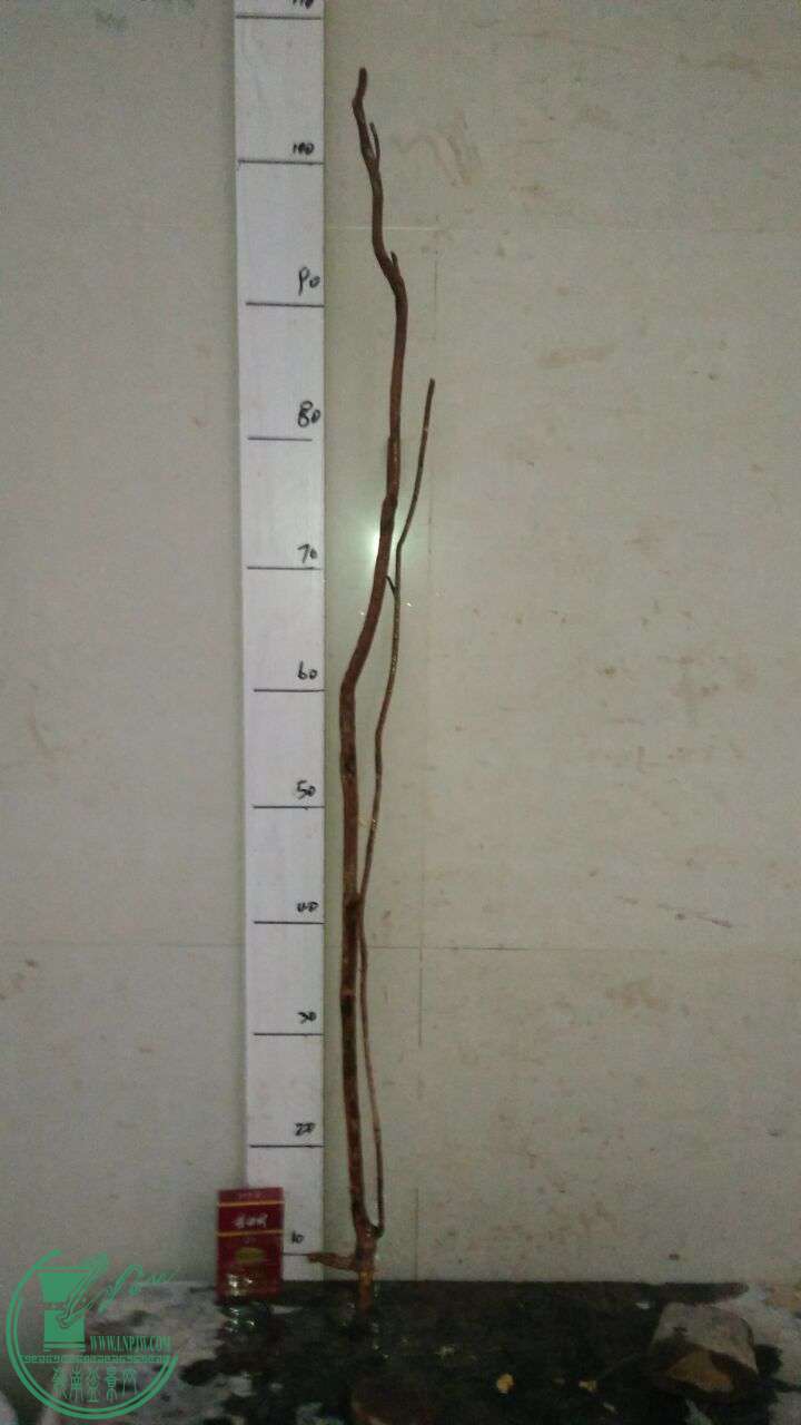 QQͼƬ20161227191152.jpg
