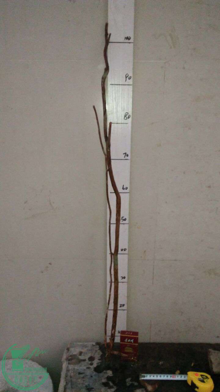 QQͼƬ20161227191147.jpg