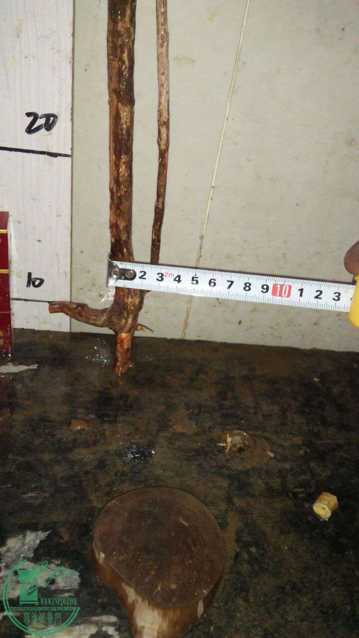 QQͼƬ20161227191156.jpg