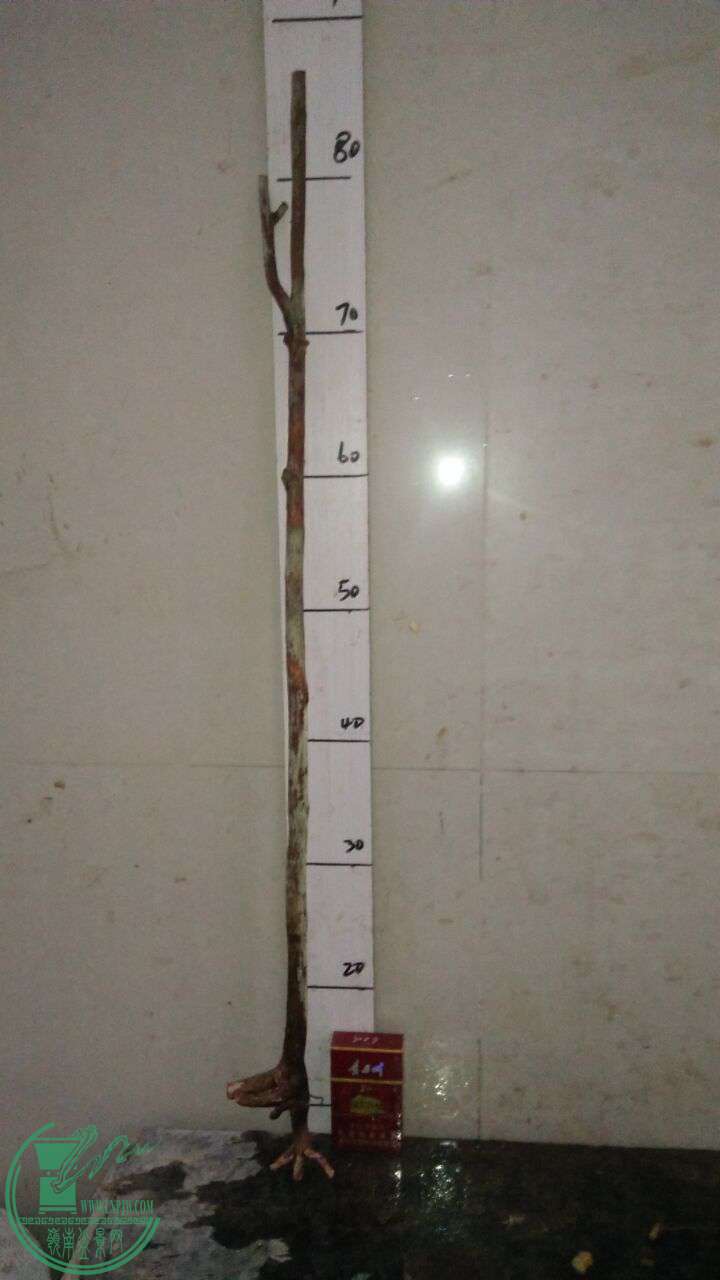 QQͼƬ20161227191130.jpg
