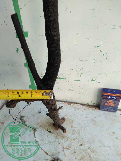 IMG20161227132403.jpg