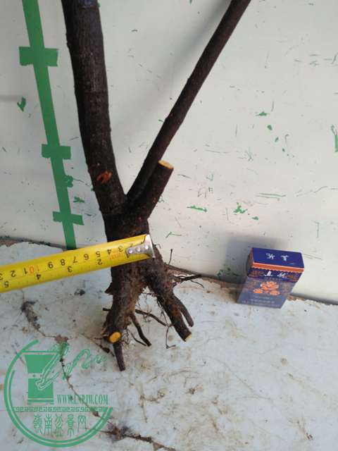 IMG20161227132448.jpg