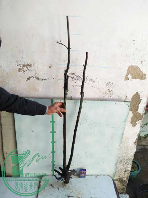IMG20161227132522.jpg