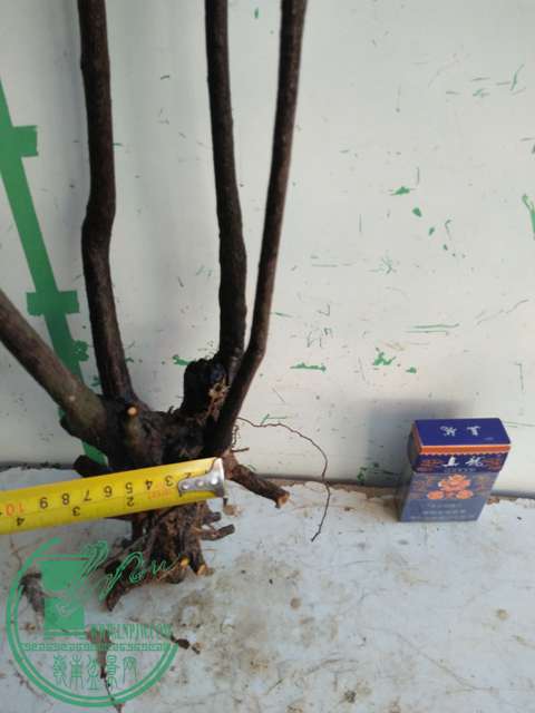 IMG20161227132541.jpg