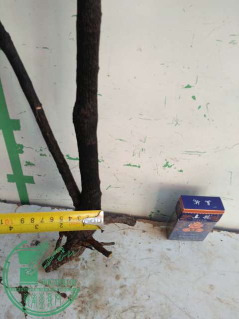 IMG20161227132701.jpg