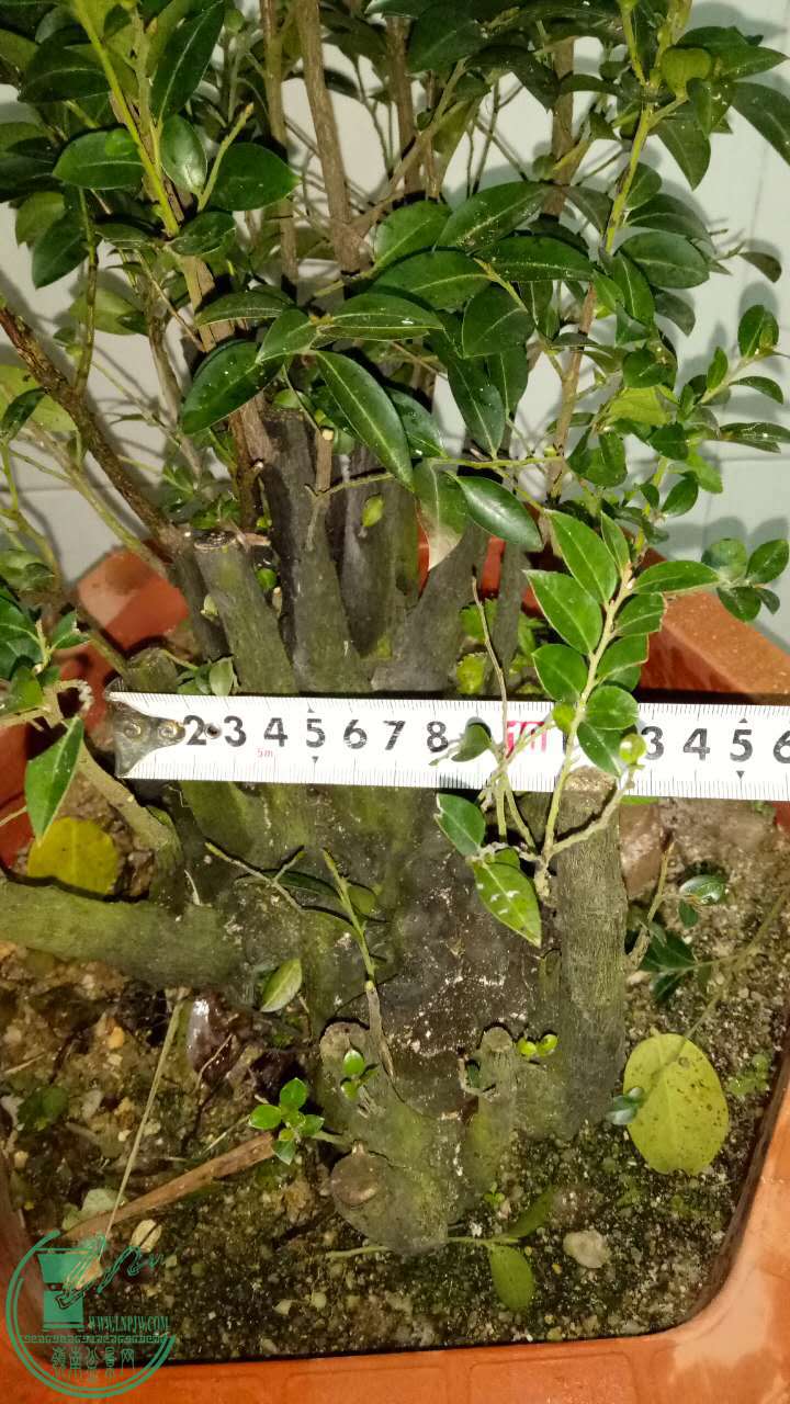 593538574106788169.jpg