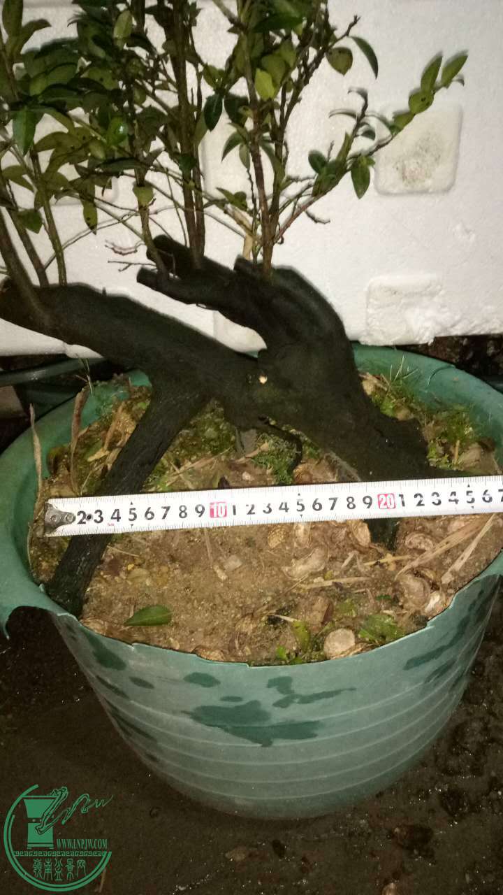 255760047632198871.jpg