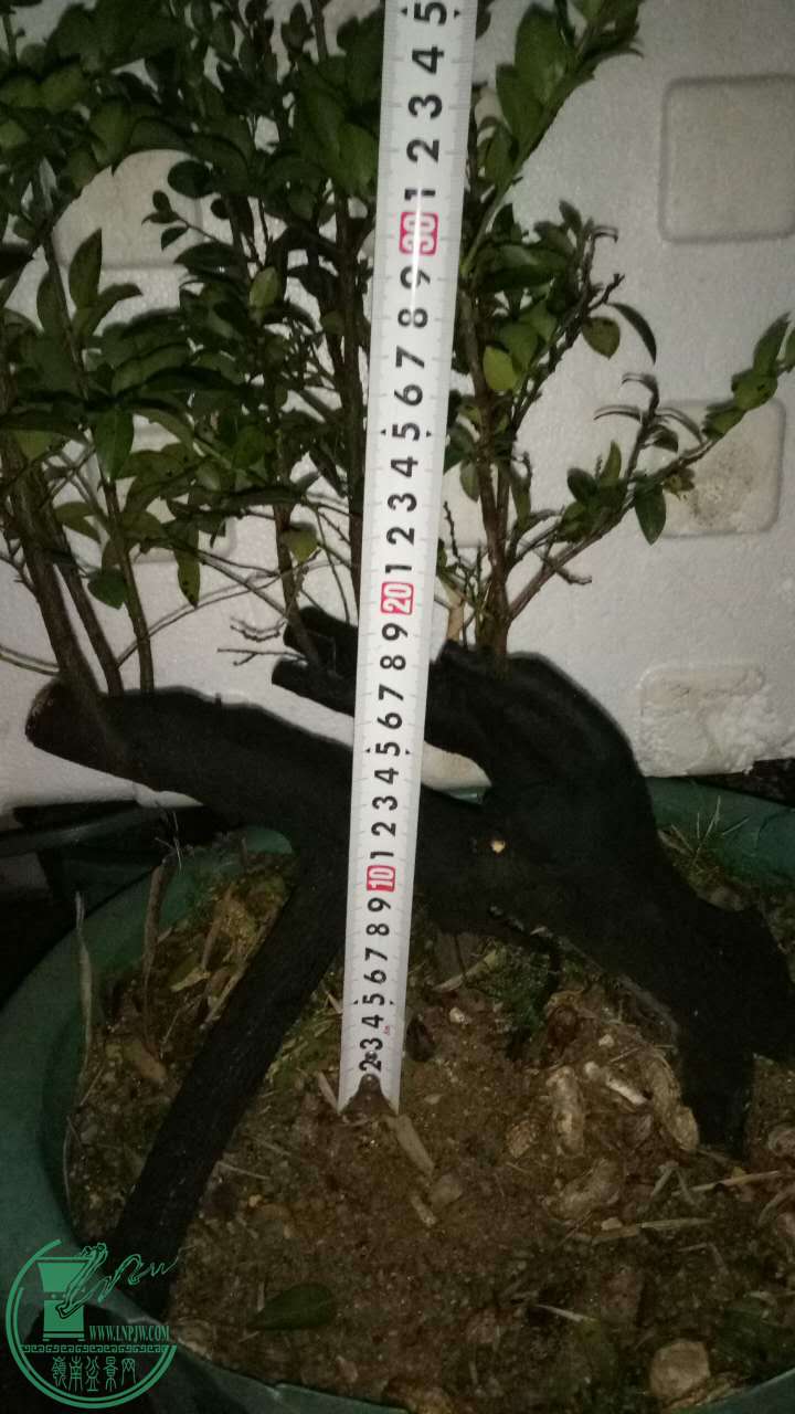 546356757514784329.jpg