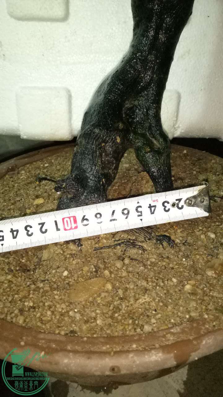 413685275833121749.jpg