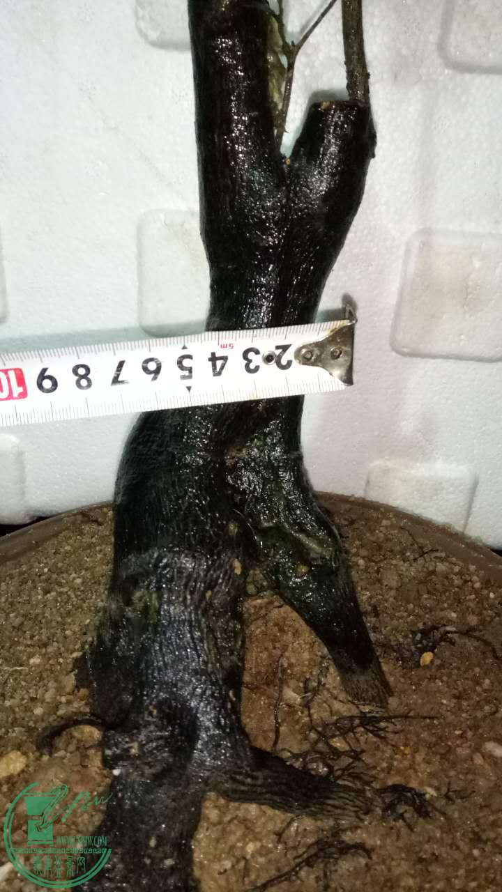 468523693396541664.jpg