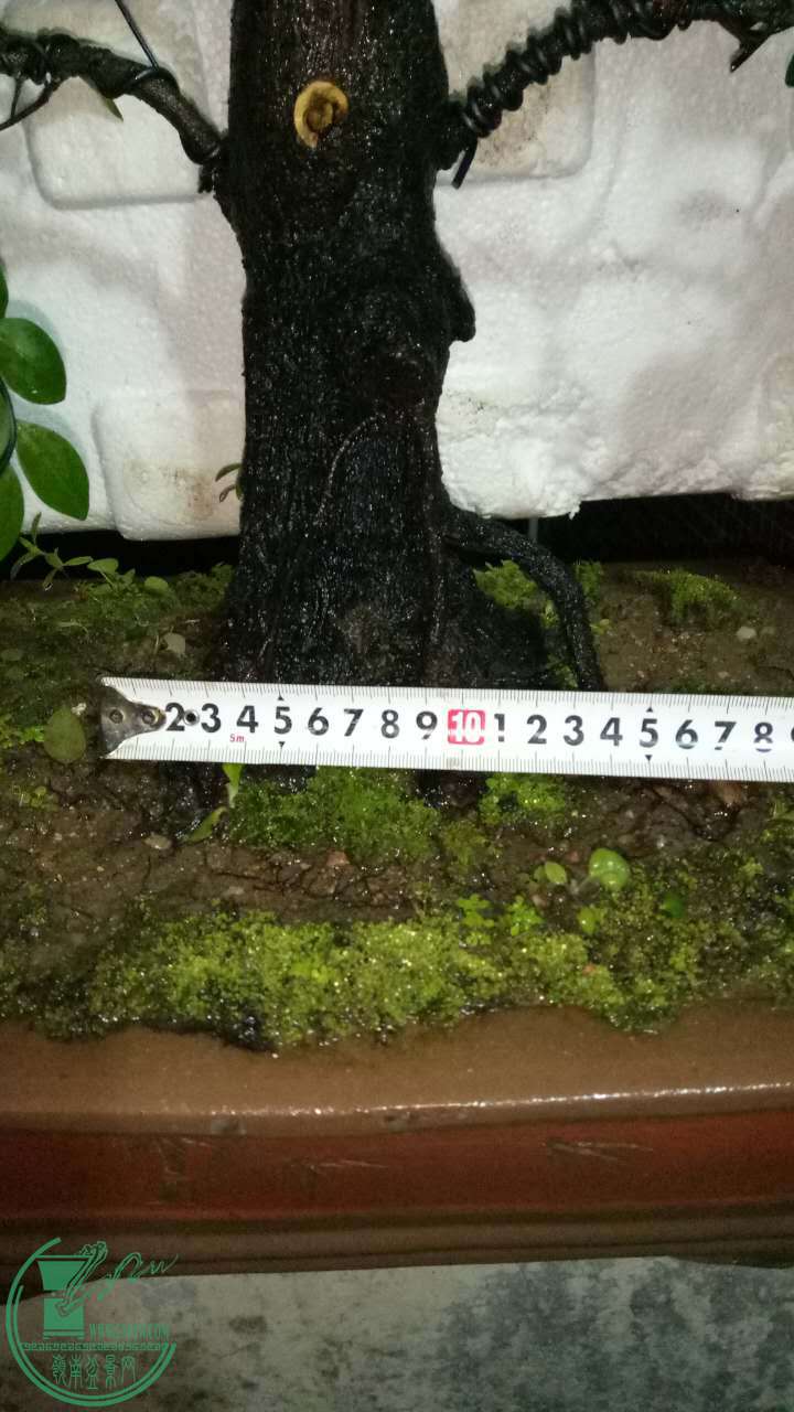 488983724140983696.jpg