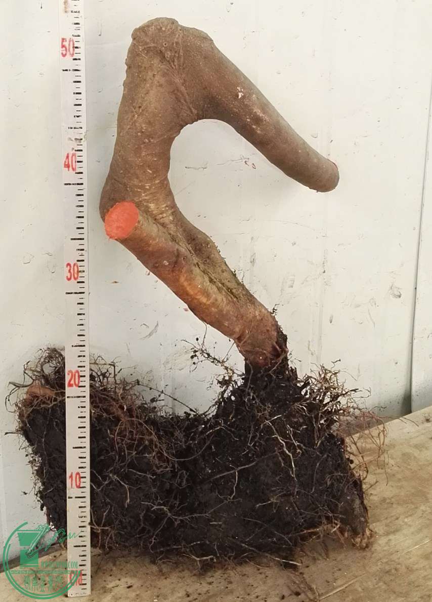 2280