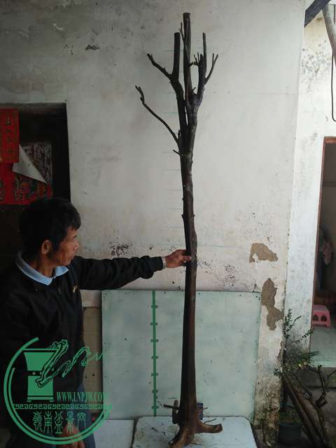 IMG20161228130555.jpg