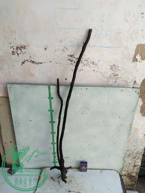 IMG20161228122152.jpg