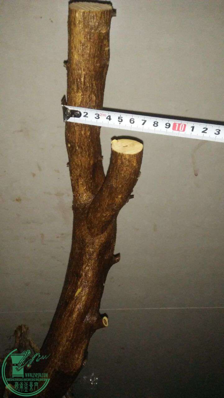 QQͼƬ20161228202356.jpg