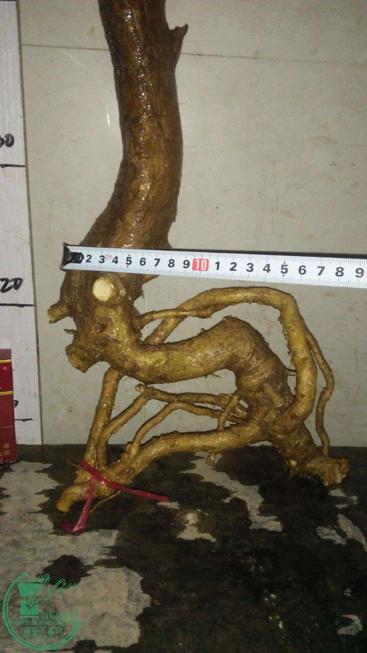 QQͼƬ20161228202424.jpg