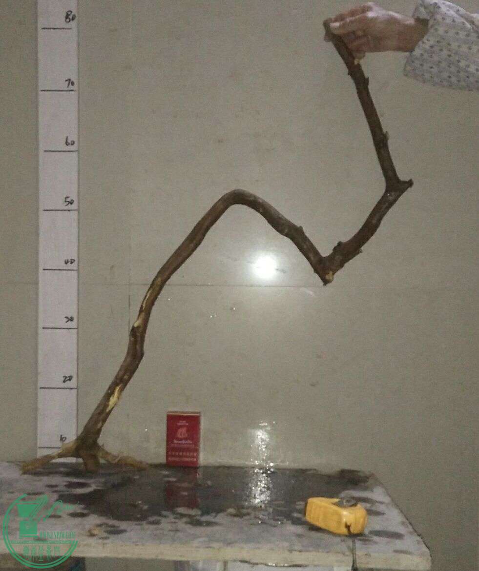 QQͼƬ20161228202335.jpg