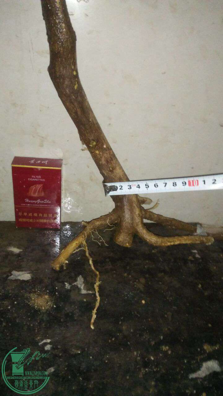 QQͼƬ20161228202350.jpg