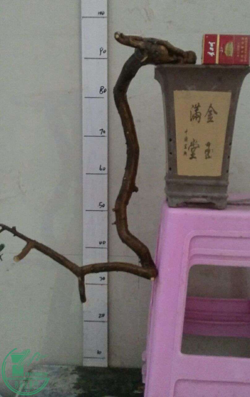 QQͼƬ20161229191539.jpg