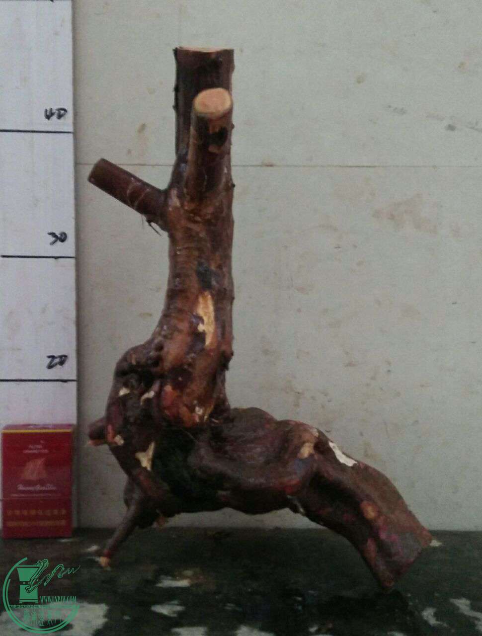 QQͼƬ20161229191557.jpg