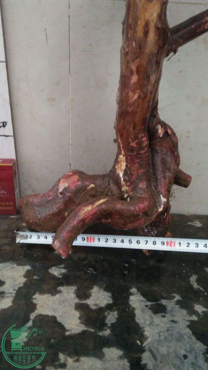 QQͼƬ20161229191757.jpg