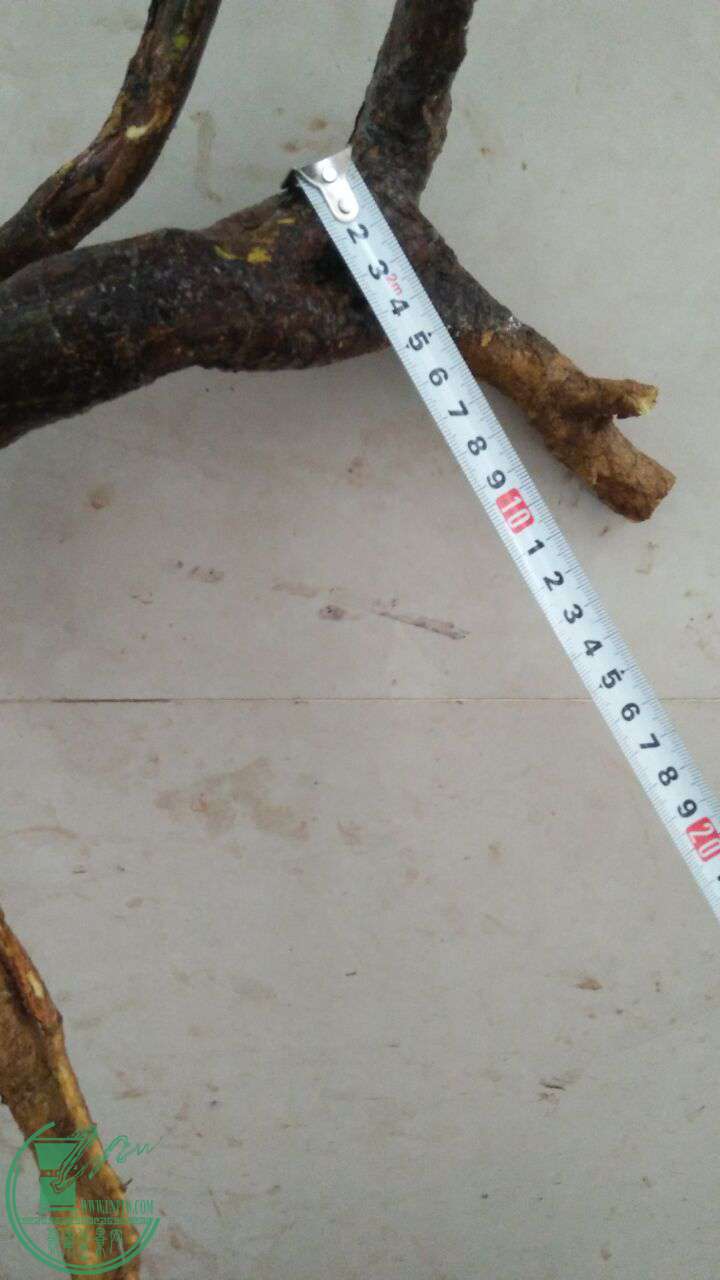 QQͼƬ20161229191708.jpg