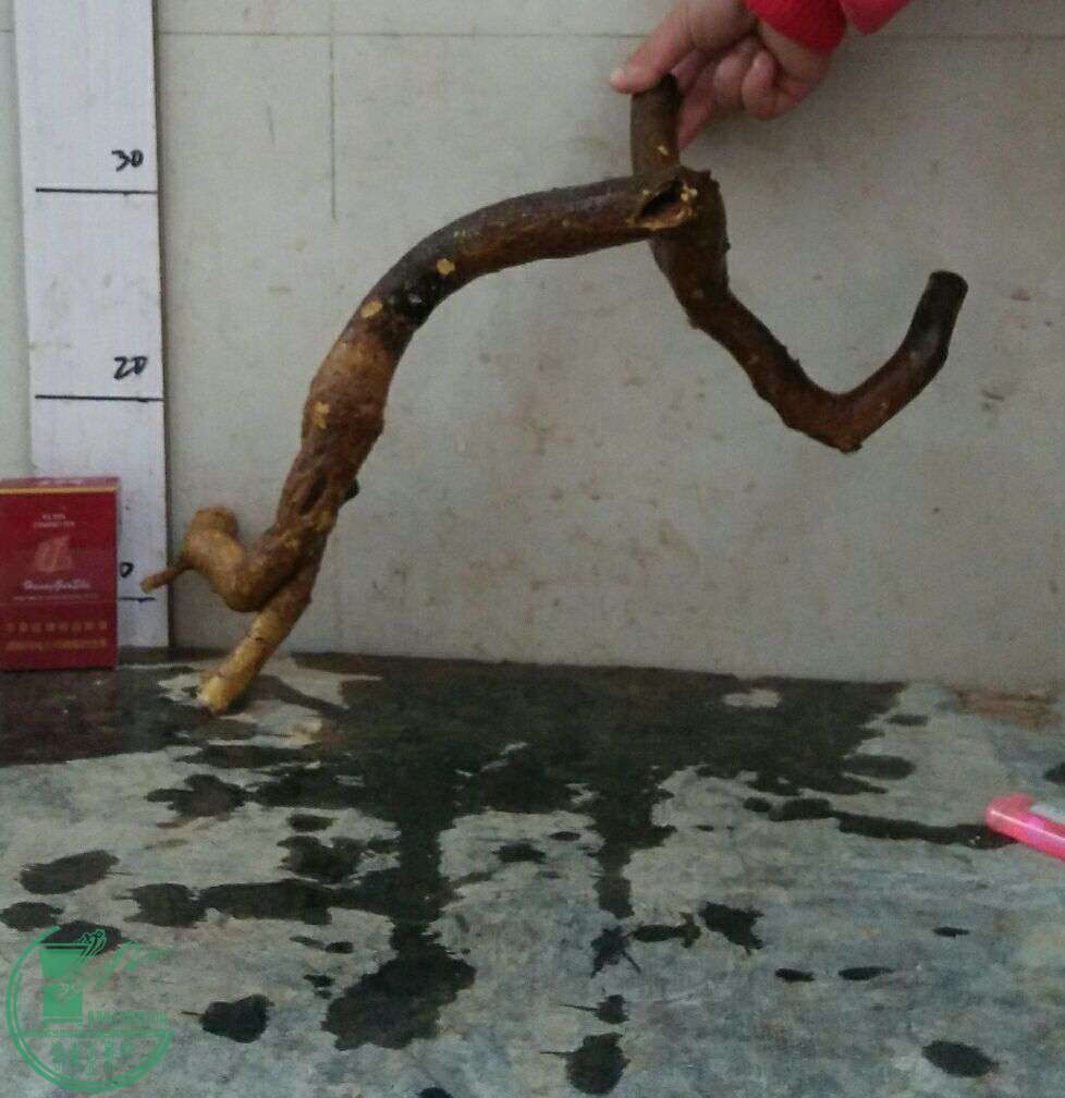 QQͼƬ20161229191617.jpg