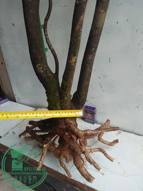 IMG20161229122449.jpg