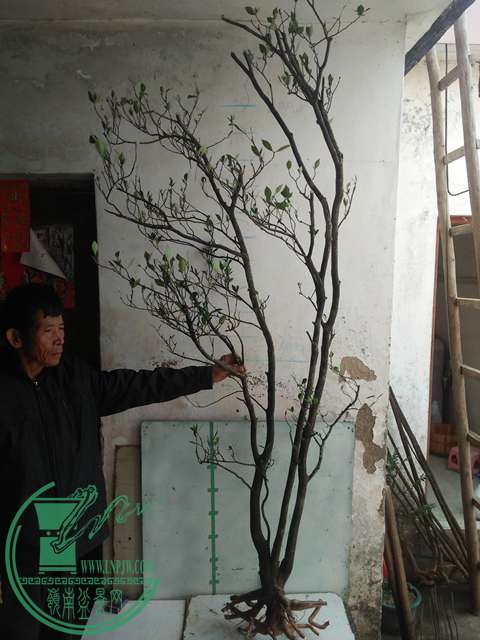 IMG20161229122502.jpg