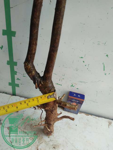 IMG20161229123441.jpg