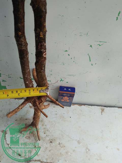 IMG20161229123513.jpg